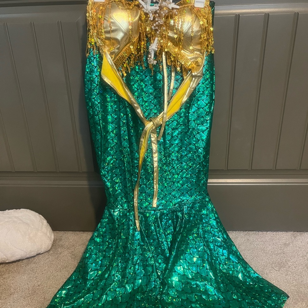 Gold and Green Mermaid Costume